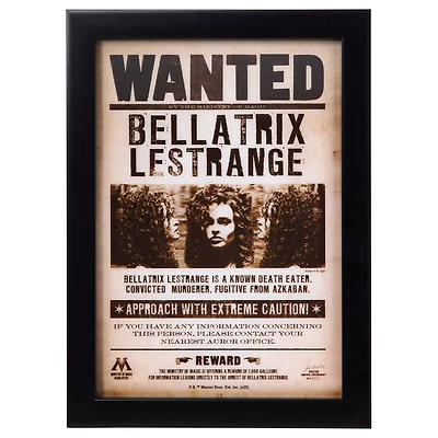 Bellatrix Lestrange Mugshot Sign - Harry Potter
