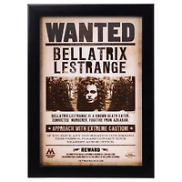 Bellatrix Lestrange Mugshot Sign - Harry Potter