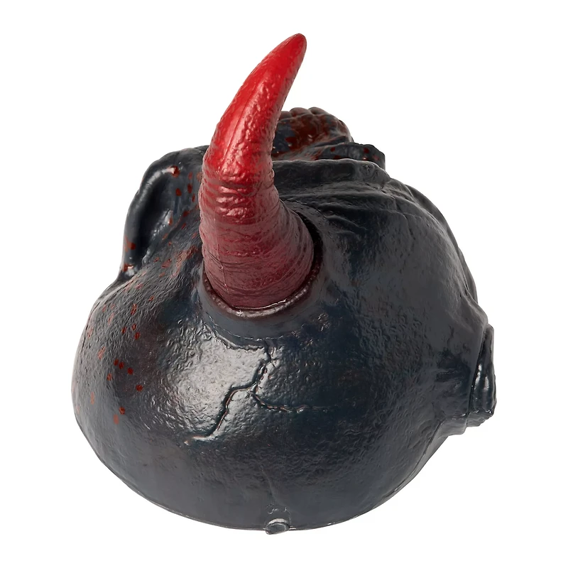 Fractured Horned Skull