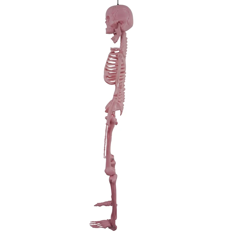 Pink Skeleton - 36 Inches