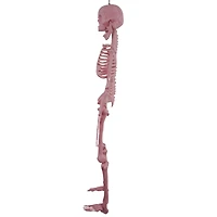 Pink Skeleton - 36 Inches