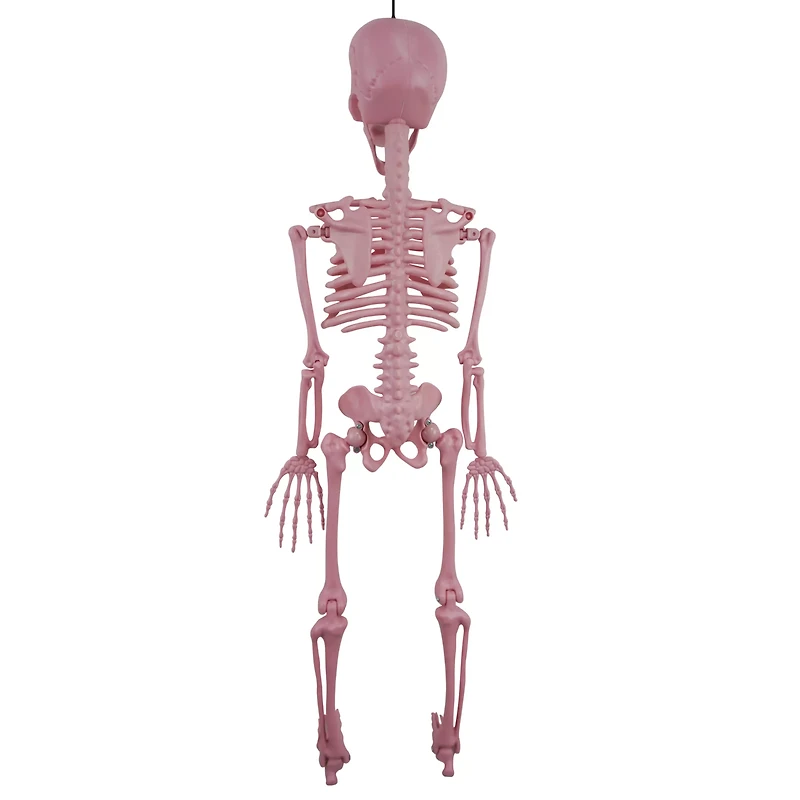 Pink Skeleton - 36 Inches