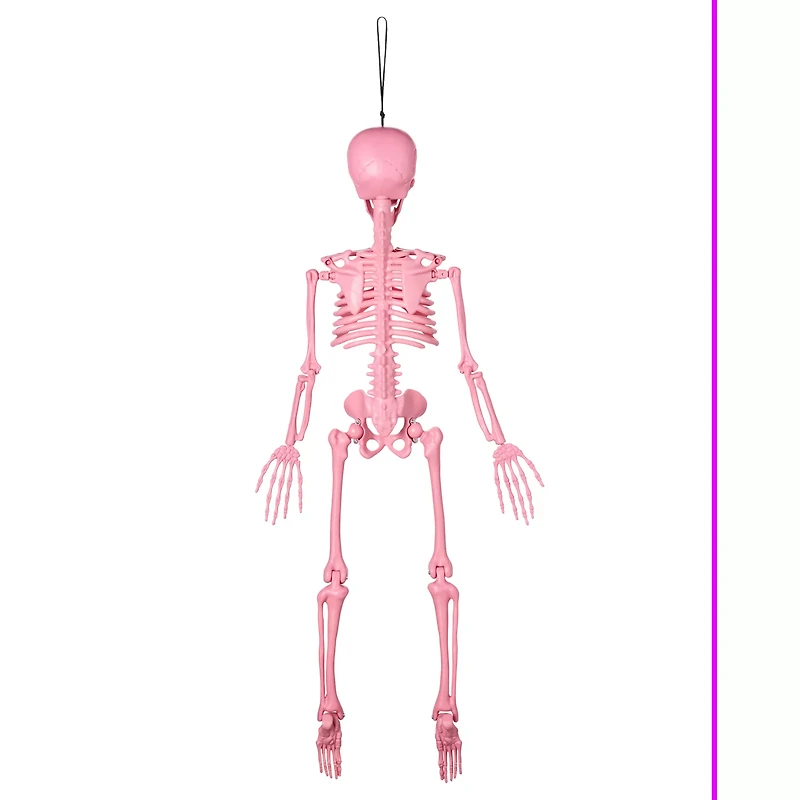 Pink Skeleton - 36 Inches