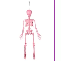 Pink Skeleton - 36 Inches
