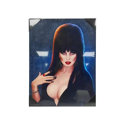 Elvira: Mistress of the Dark Canvas