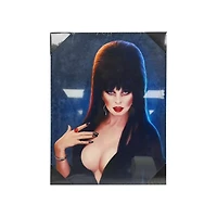 Elvira: Mistress of the Dark Canvas