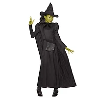 Kids Elphaba Costume -  Wicked