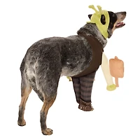 Shrek Pet Costume