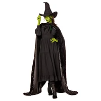 Adult Elphaba Cape -  Wicked