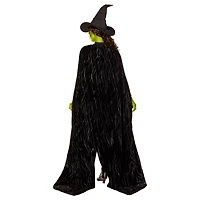 Adult Elphaba Cape -  Wicked