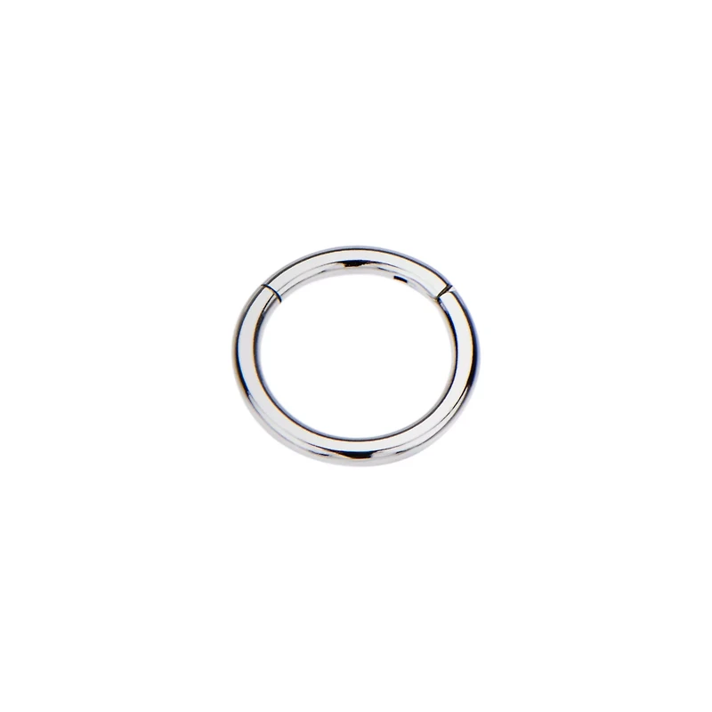 Silvertone Hinged Hoop Earring