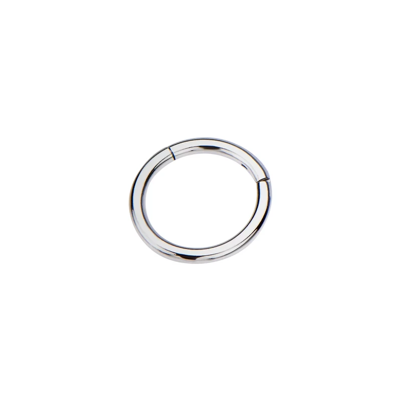 Silvertone Hinged Hoop Earring
