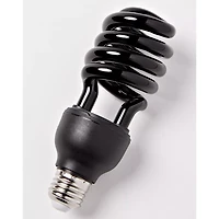 Black Light 22 Watt CFL Bulb