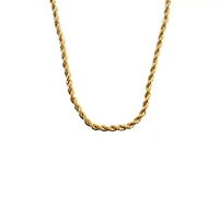 Goldtone Rope Chain Necklace