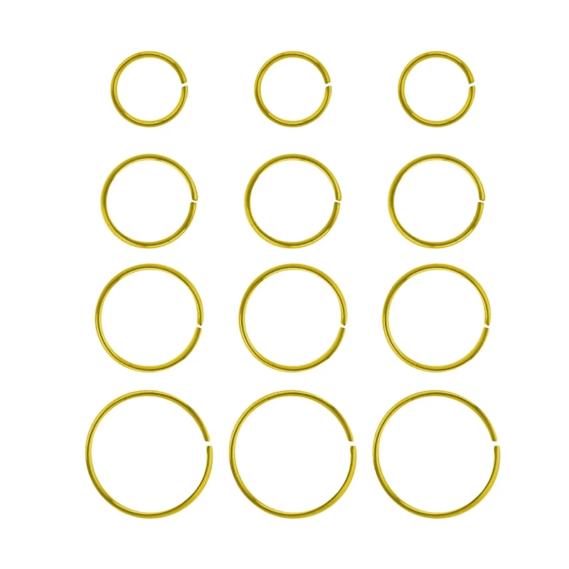 Multi-Pack Goldtone Hoop Nose Rings - 12 Pack
