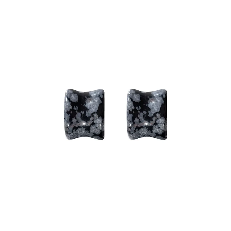 Obsidian Plugs