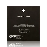 Mini Sensation Pinwheel Toy