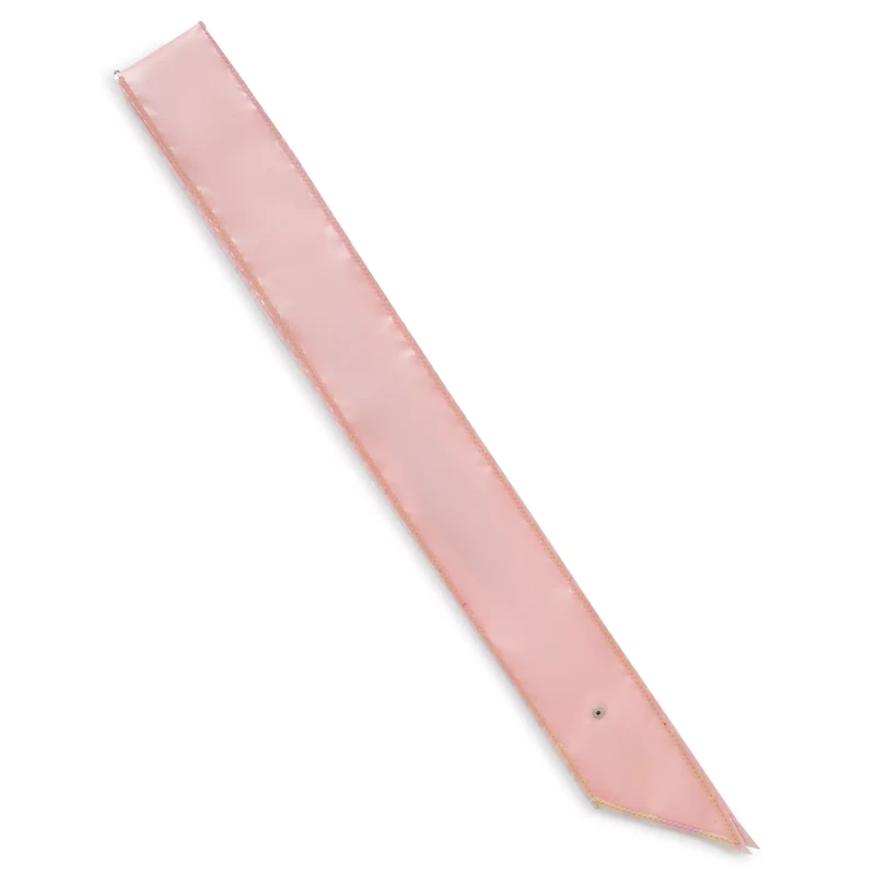 Pink Future Wifey Sash