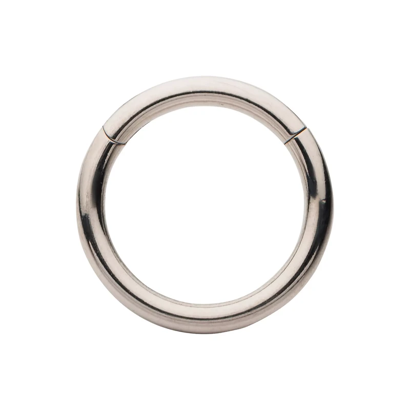Silvertone Hinged Hoop Earring