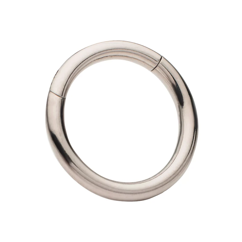 Silvertone Hinged Hoop Earring