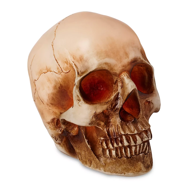 LED Skull Light