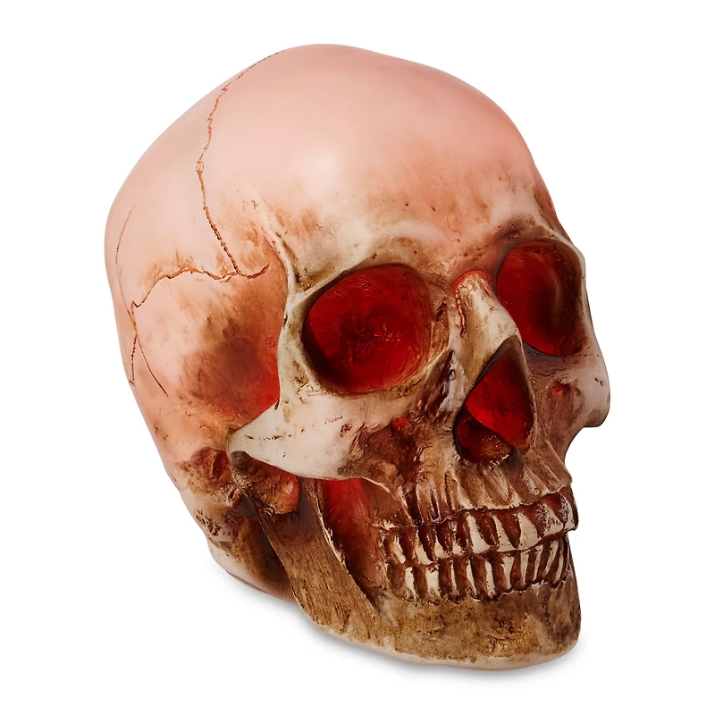 LED Skull Light
