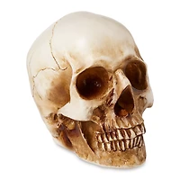 LED Skull Light