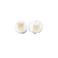 Tooth Resin Double Flare Plugs