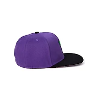 Batman and The Joker Face Split Snapback Hat