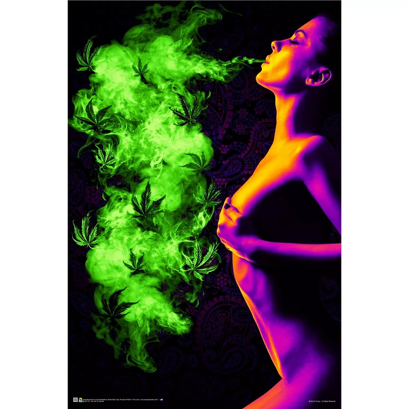 Too Hot Blacklight Poster - 36" x 24"