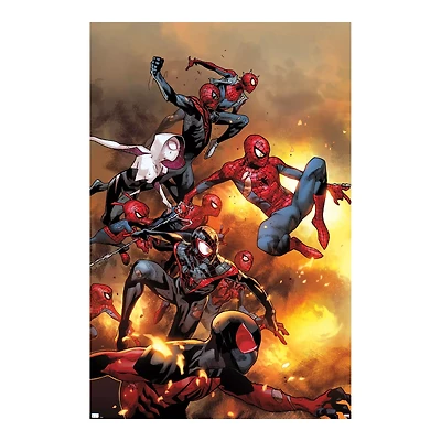 Spider-Man Multiverse Poster
