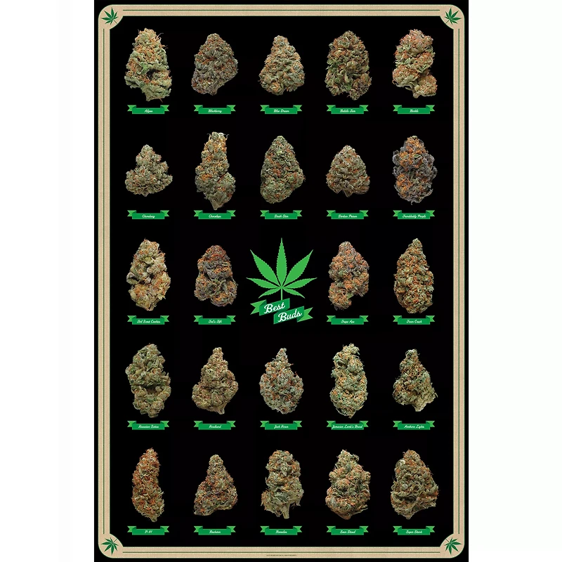 Best Buds Poster