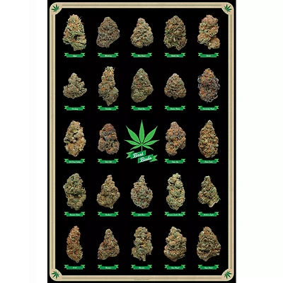 Best Buds Poster