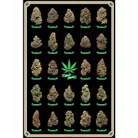 Best Buds Poster