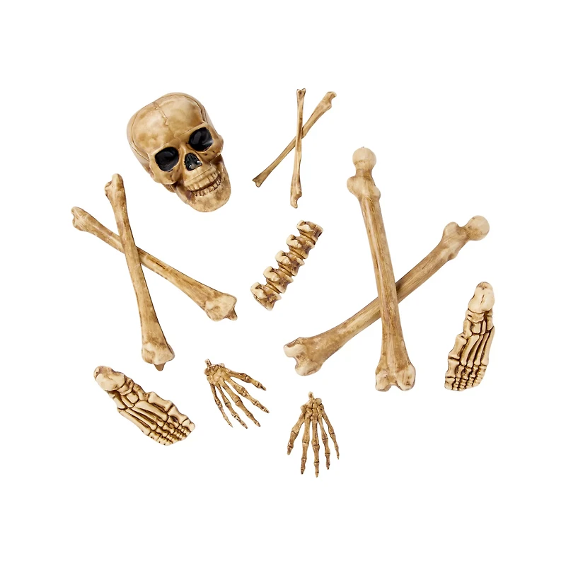12-Piece Bag of Decaying Bones