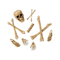 12-Piece Bag of Decaying Bones