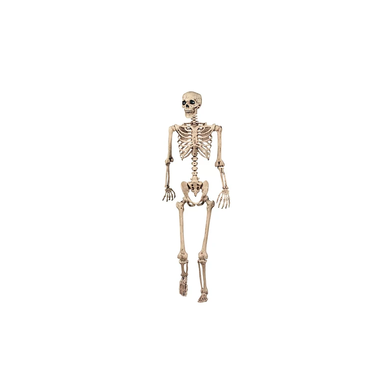 5 Ft Pose 'N' Stay Skeleton