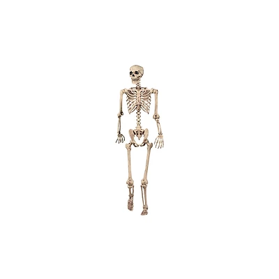 5 Ft Pose 'N' Stay Skeleton