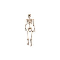 5 Ft Pose 'N' Stay Skeleton