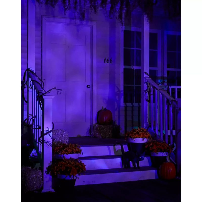 Purple Fire and Ice Spotlight