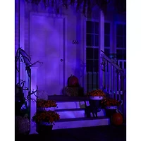 Purple Fire and Ice Spotlight