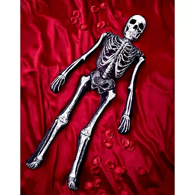 5.25 Ft Ossa Bones Comfy Curiosity
