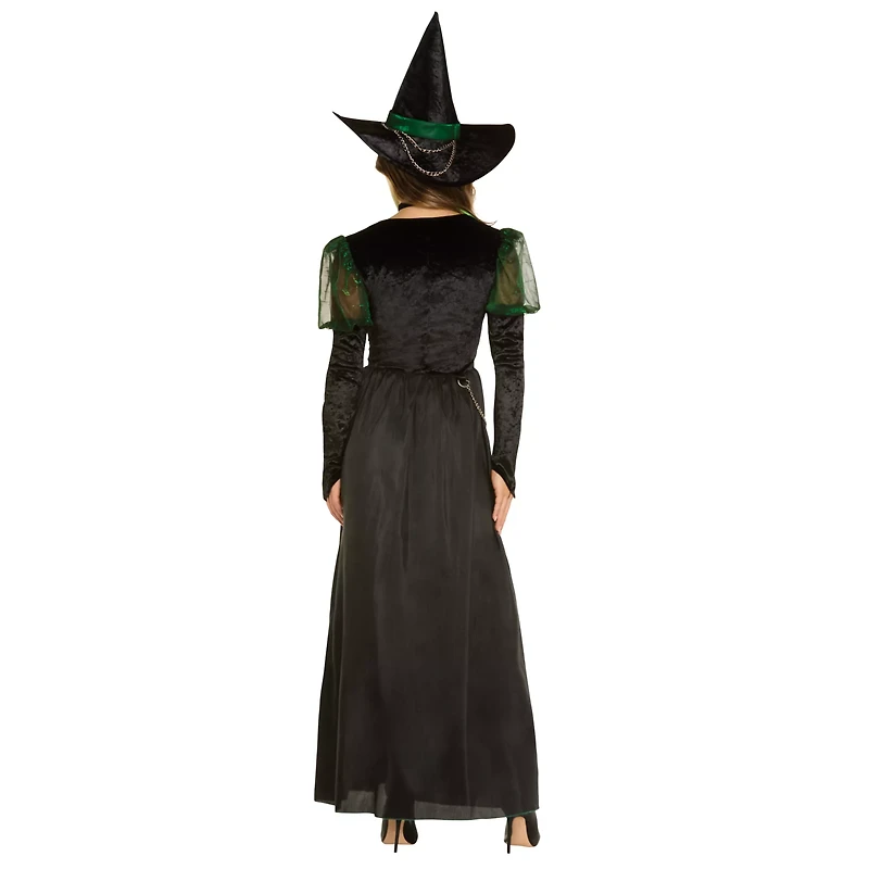 Adult Wicked Witch Costume - The Wizard of Oz