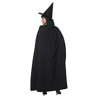 Adult Wicked Witch Costume The Signature Collection - Wizard of Oz