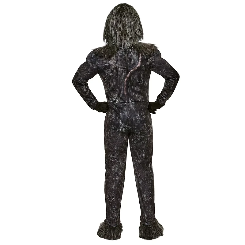 Kids Kong Costume - Godzilla vs.