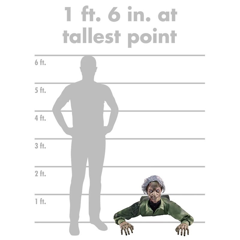1 Ft 6 In Creepy Crawler Animatronic