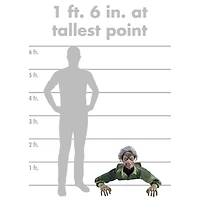 1 Ft 6 In Creepy Crawler Animatronic