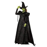 Adult Elphaba Costume Deluxe -  Wicked: For Good