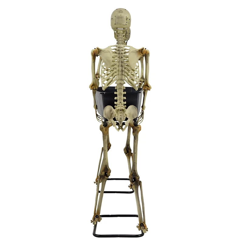 5 Ft LED Skeletons with Coffin