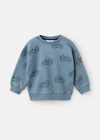 Printed cotton sweatshirt